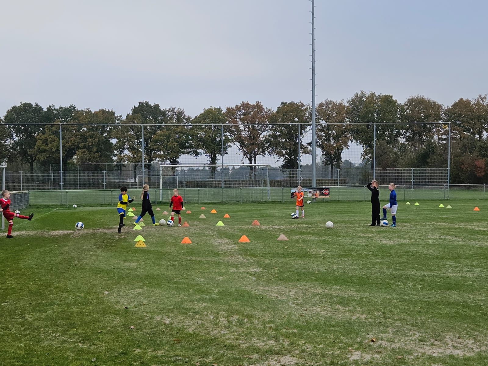 95d1d05e-393b-4f1f-b375-d86817af43a2